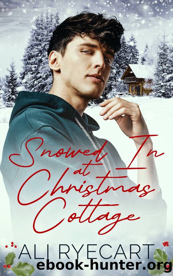 Snowed in at Christmas Cottage by Ali Ryecart