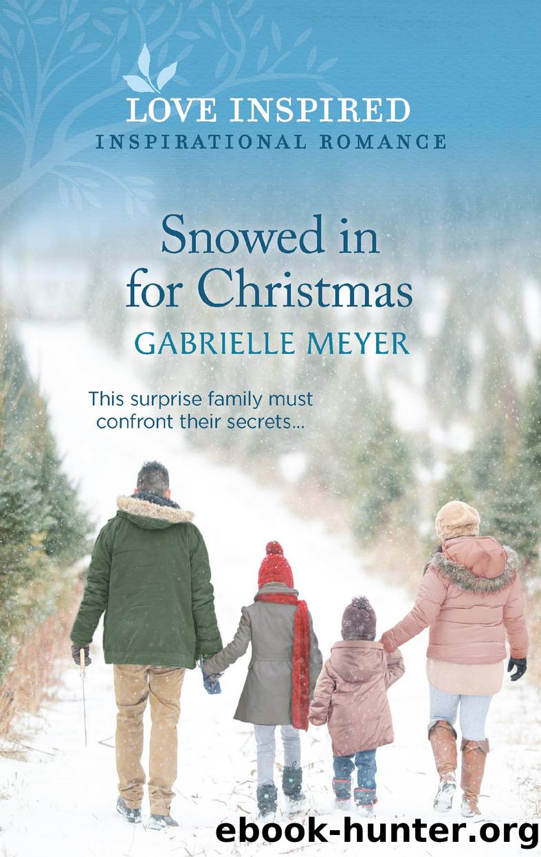 Snowed in for Christmas by Gabrielle Meyer