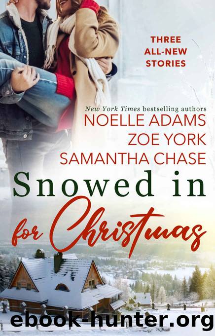 Snowed in for Christmas by Noelle Adams & Samantha Chase & Zoe York
