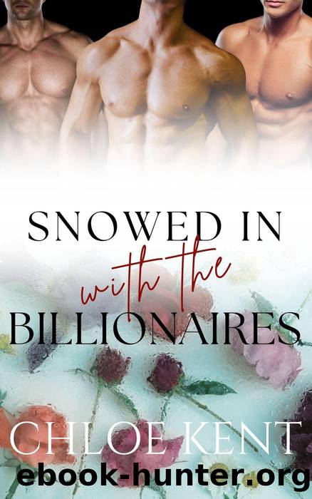 Snowed in with the Billionaires (Snowed in with Them, #3) by Chloe Kent