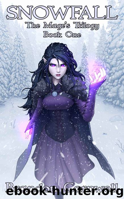 Snowfall by Brandon Cornwell