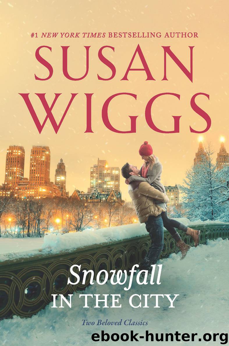 Snowfall in the City by SUSAN WIGGS