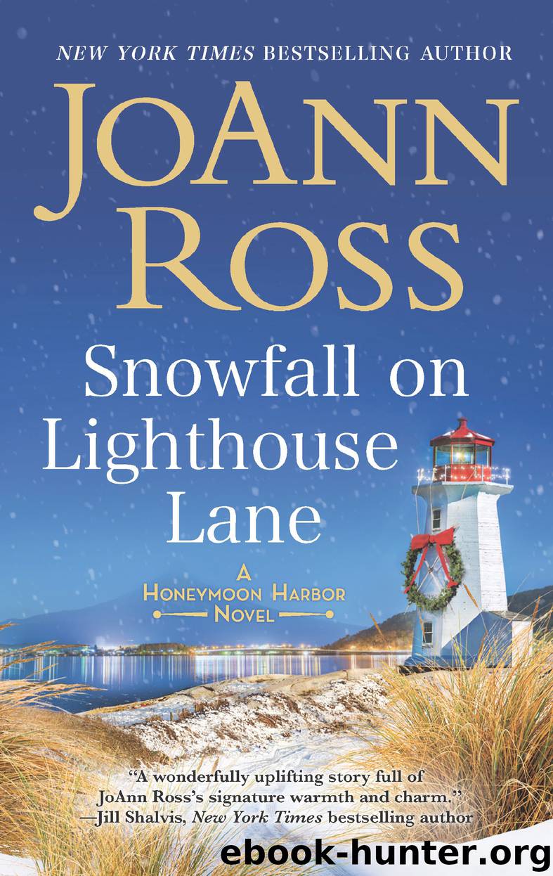 Snowfall on Lighthouse Lane by Joann Ross