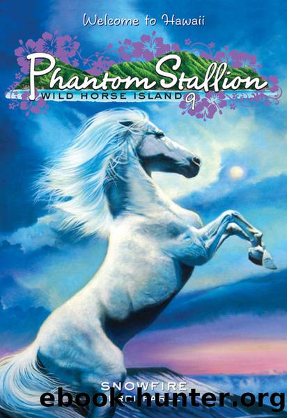 Snowfire (Phantom Stallion Wild Horse Island) by Terri Farley