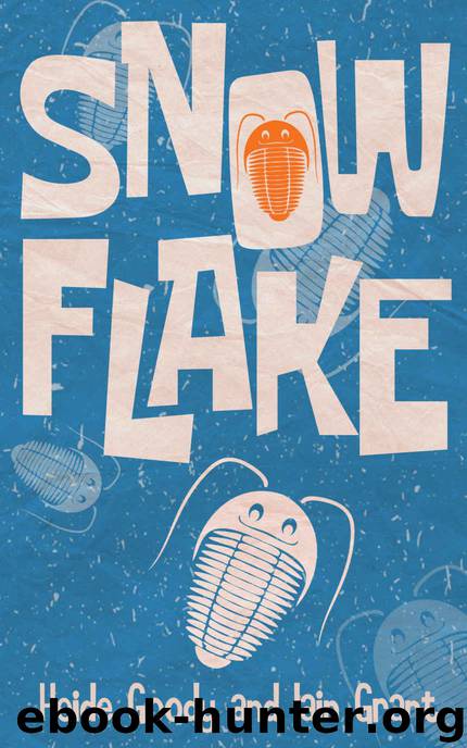 Snowflake by Heide Goody & Iain Grant