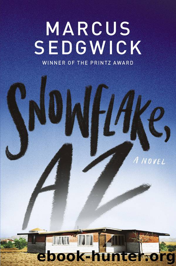 Snowflake, AZ by Marcus Sedgwick