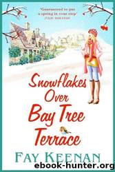 Snowflakes Over Bay Tree Terrace by Fay Keenan