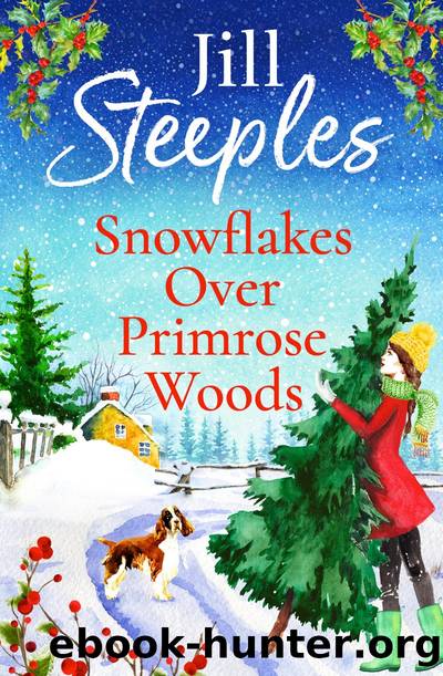 Snowflakes Over Primrose Woods by Jill Steeples