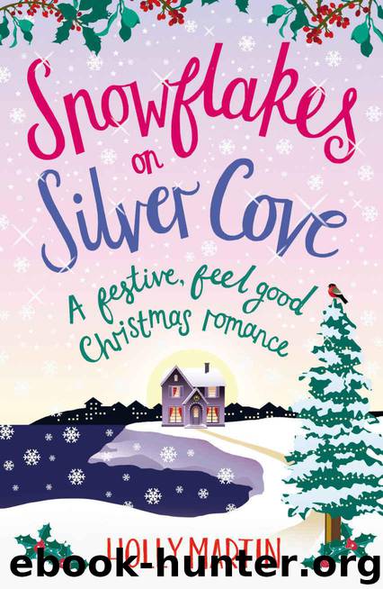 Snowflakes on Silver Cove by Holly Martin