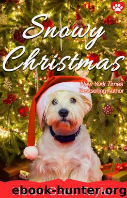 Snowy Christmas by Helen Scott Taylor