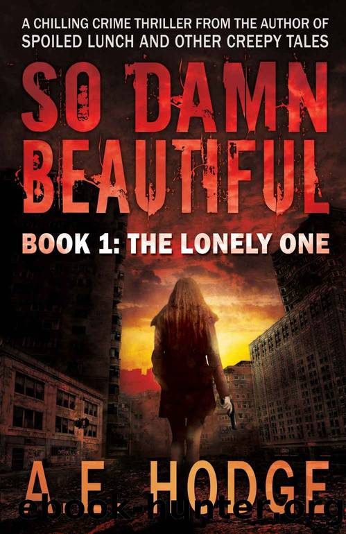 So Damn Beautiful: The Lonely One: Book 1 of the SO DAMN BEAUTIFUL Crime Horror-Thriller Trilogy by A.E. Hodge