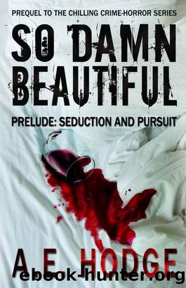 So Damn Beautiful_Prelude_Seduction and Pursuit by A. E. Hodge