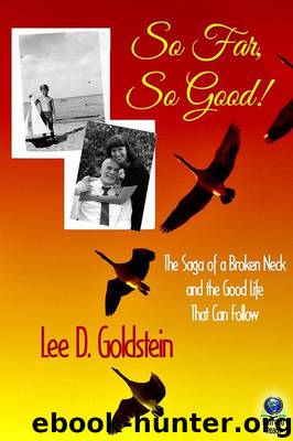 So Far, So Good by Lee D. Goldstein