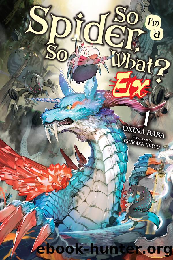 So Iâm a Spider, So What? Ex, Vol. 1 by Okina Baba and Tsukasa Kiryu & Tsukasa Kiryu