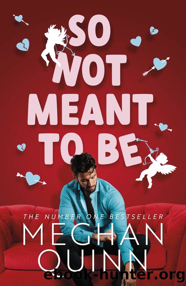 So Not Meant to Be by Meghan Quinn