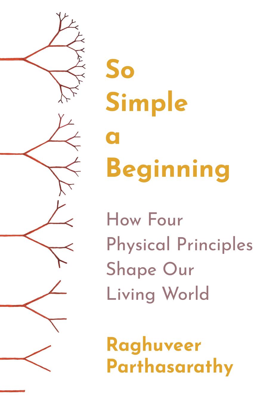 So Simple a Beginning by Raghuveer Parthasarathy