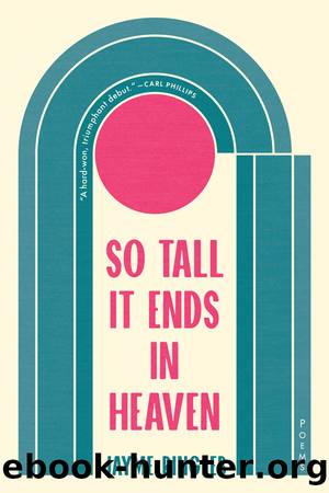 So Tall It Ends in Heaven by Jayme Ringleb