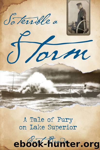 So Terrible a Storm by Curt Brown