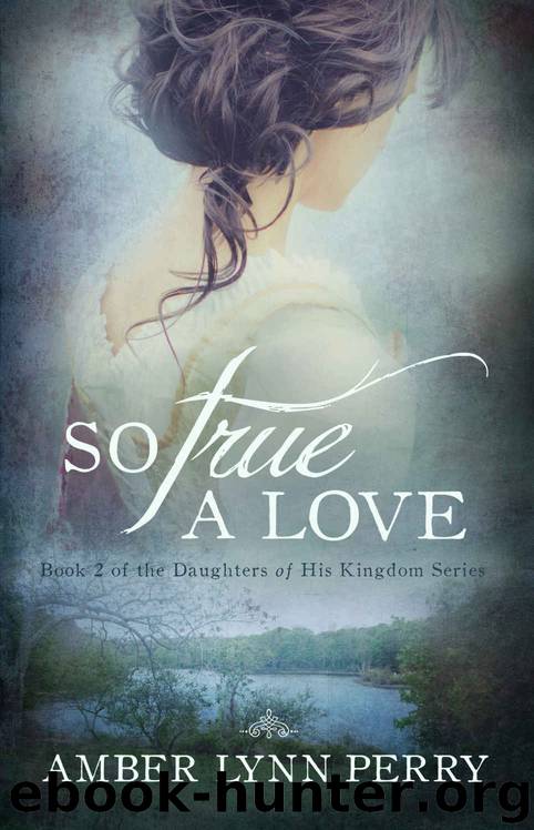 So True a Love (Daughters of His Kingdom Book 2) by Amber Lynn Perry