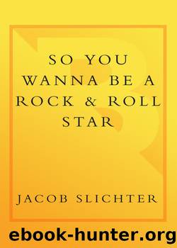 So You Wanna Be a Rock & Roll Star by Jacob Slichter