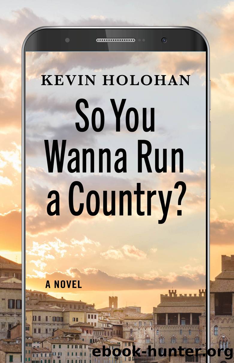 So You Wanna Run a Country? by Kevin Holohan