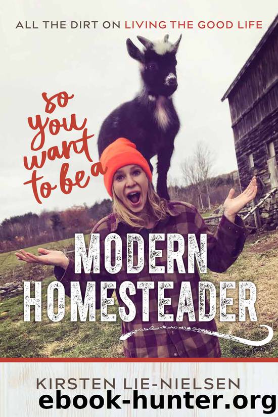 So You Want to Be a Modern Homesteader? by Kirsten Lie-Nielsen