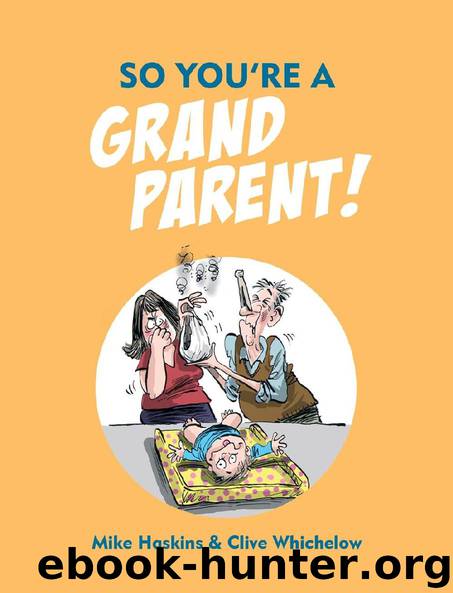 So You’re A Grandparent by Mike Haskins & Clive Whichelow