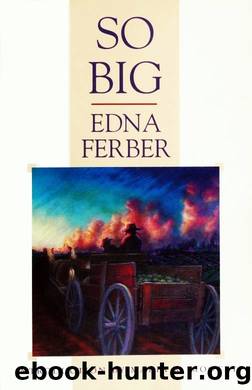 So big by Edna Ferber