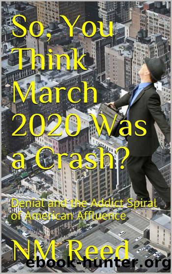 So, You Think March 2020 Was a Crash?: Denial and the Addict Spiral of American Affluence by NM Reed