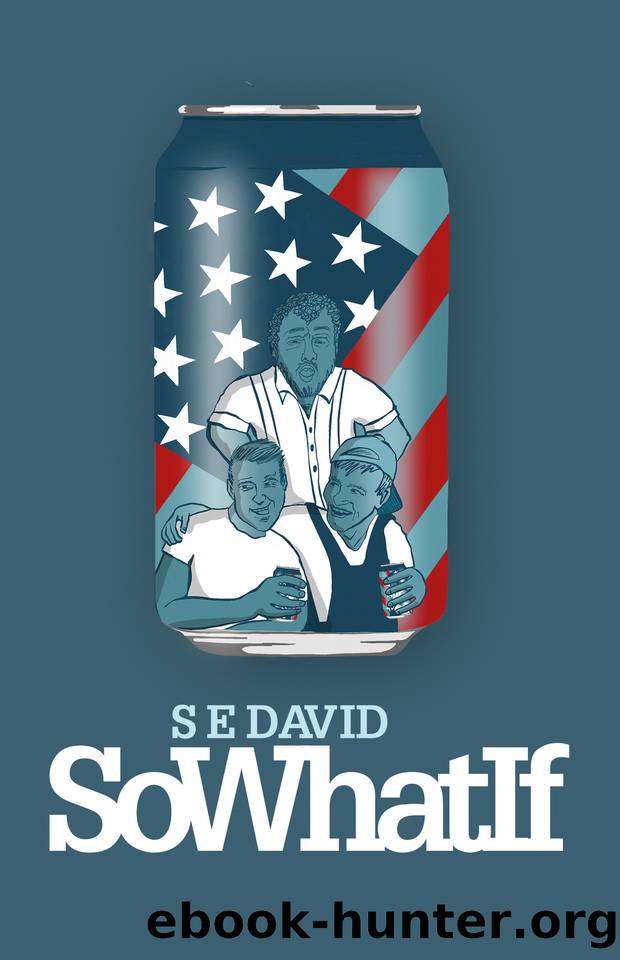 SoWhatIf by S E David