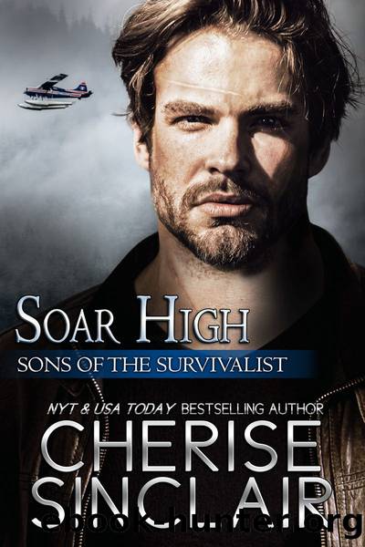 Soar High by Cherise Sinclair