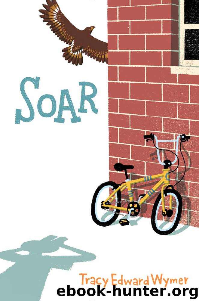 Soar by Tracy Edward Wymer