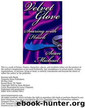 Soaring with Hawk by Sean Michael