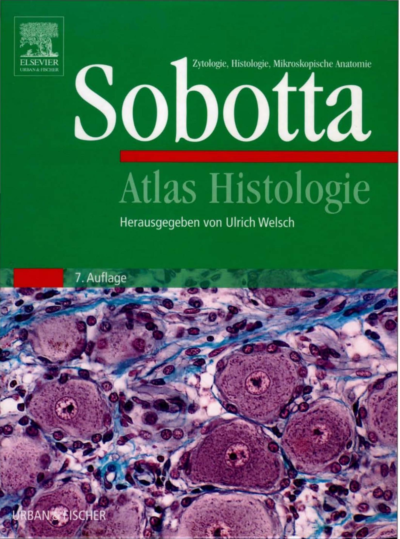 Sobotta Atlas Histologie by U. Welsch