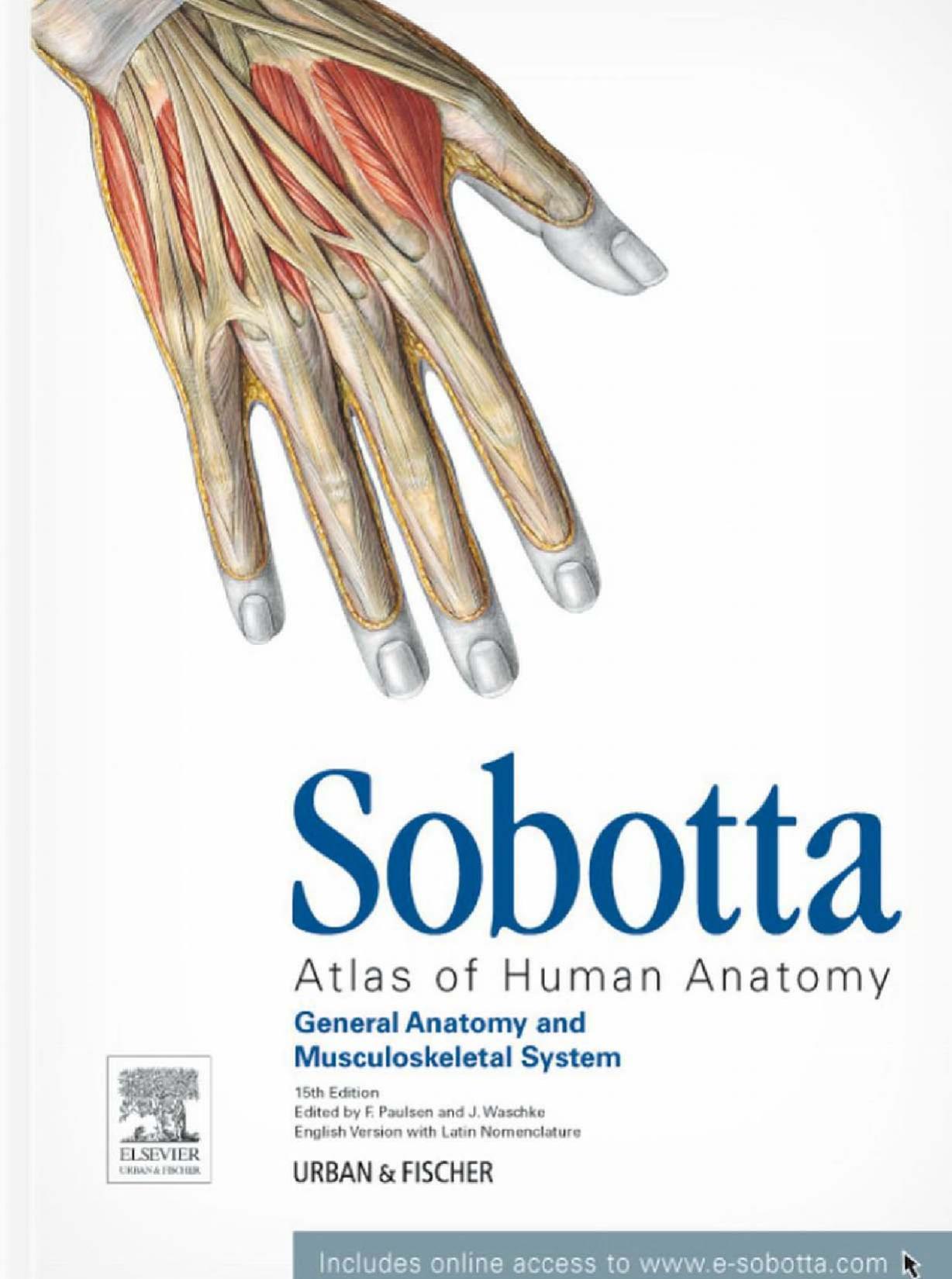 Sobotta Atlas of Human Anatomy: Volume 1: General Anatomy and Musculoskeletal System with Online Access to www.e-sobotta.com (English and Latin Edition) by Friedrich Paulsen Professor Dr. Jens Waschke