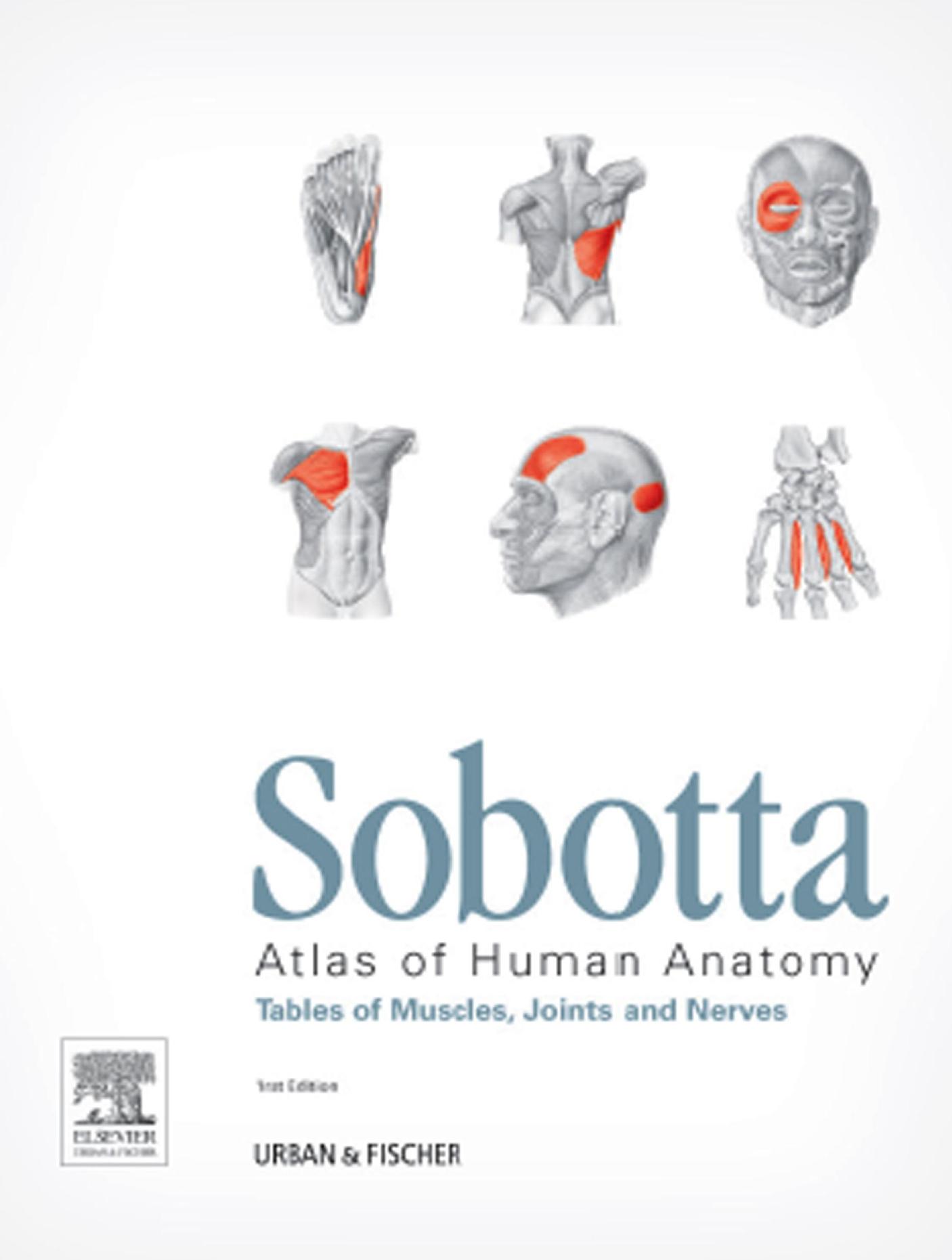 Sobotta Atlas of human anatomy. Tables of muscles, joints, and nerves by Waschke Jens; Paulsen Friedrich; Hombach-Klonisch Sabine; Klonisch Thomas; Sobotta Johannes