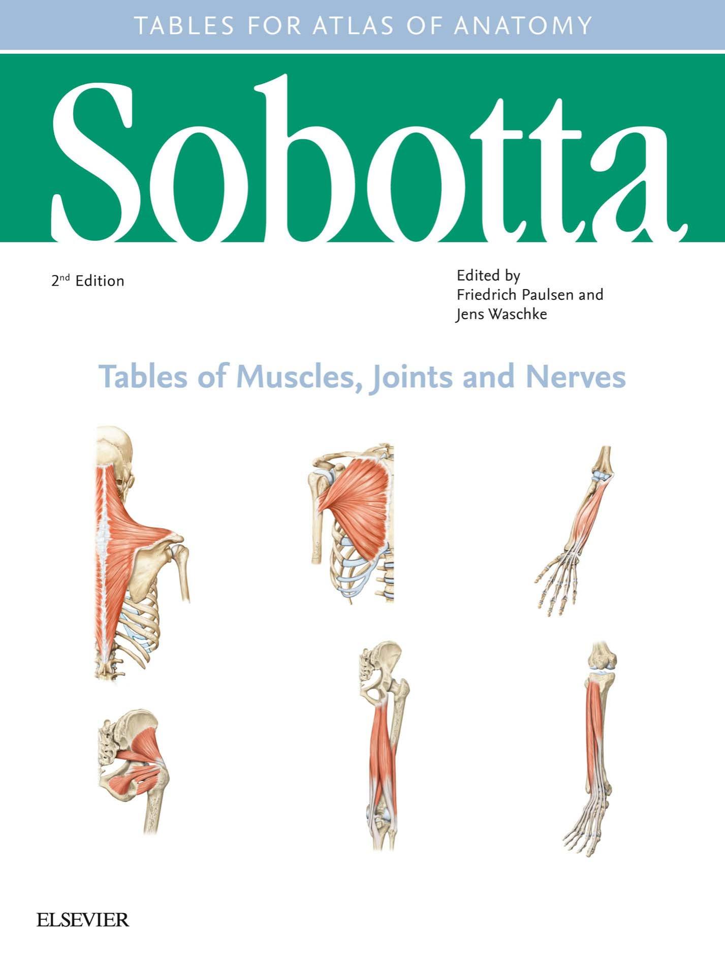 Sobotta Tables of Muscles, Joints and Nerves, English/Latin: Tables to 16th ed. of the Sobotta Atlas by Friedrich Paulsen Jens Waschke