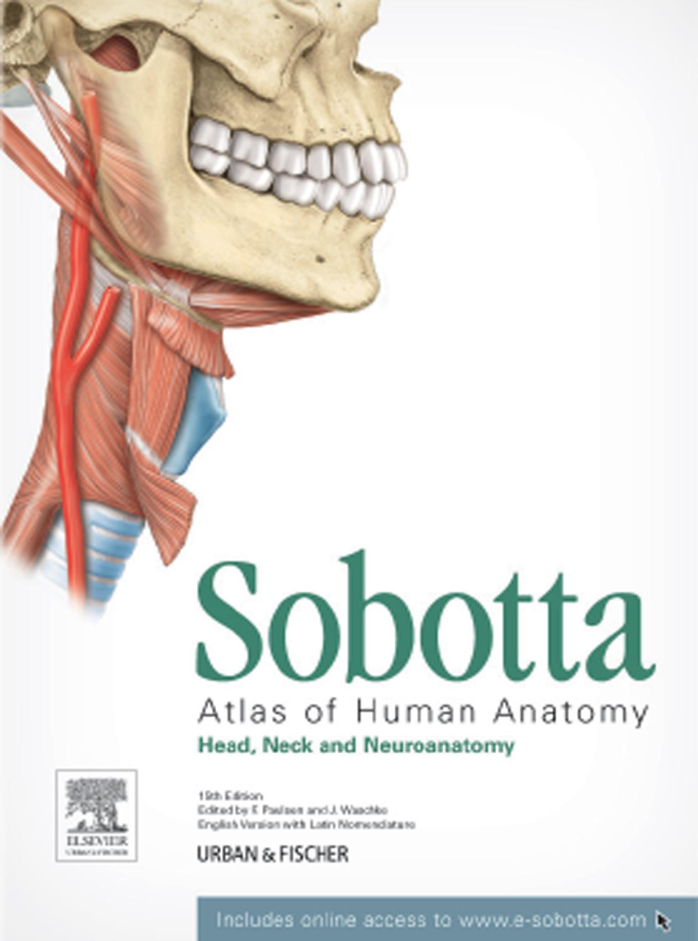 Sobotta: Atlas of Human Anatomy, Head, Neck, and Neuroanatomy by F. Paulsen & J. Waschke