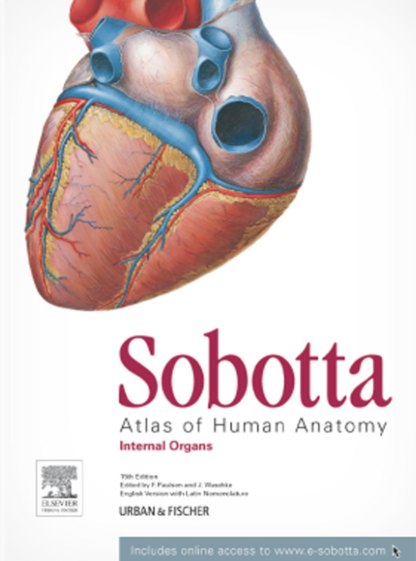 Sobotta: Atlas of Human Anatomy, Internal Organs by F. Paulsen & J. Waschke