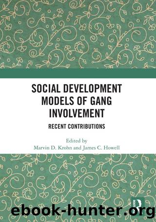 Social Development Models of Gang Involvement by Marvin D. Krohn James C. Howell