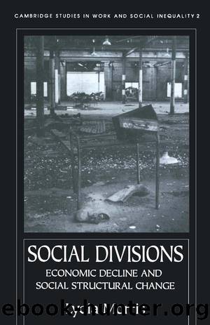 Social Divisions by Lydia Morris