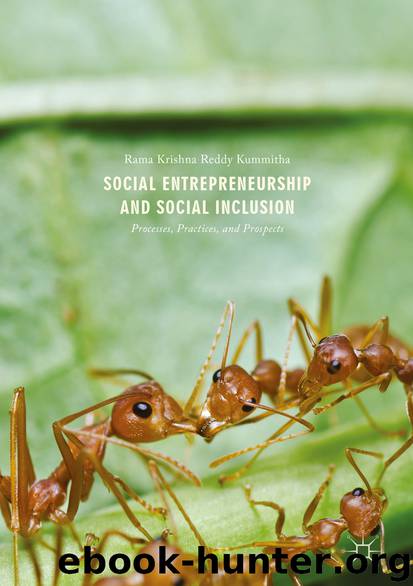Social Entrepreneurship and Social Inclusion by Rama Krishna Reddy Kummitha