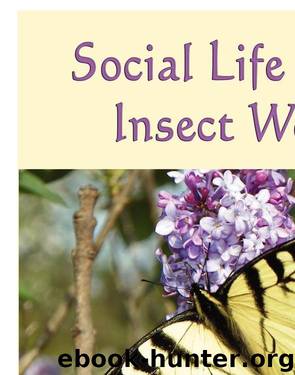 Social Life in the Insect World by Fabre Jean Henri