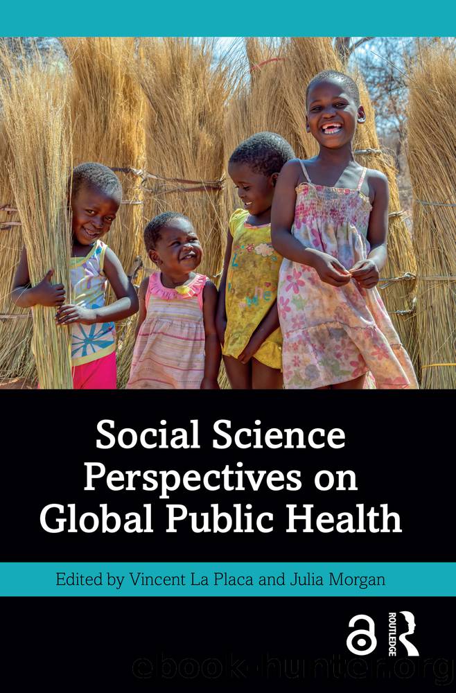 Social Science Perspectives on Global Public Health by Vincent La Placa & Julia Morgan