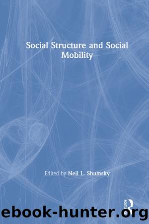 Social Structure and Social Mobility by Neil L. Shumsky