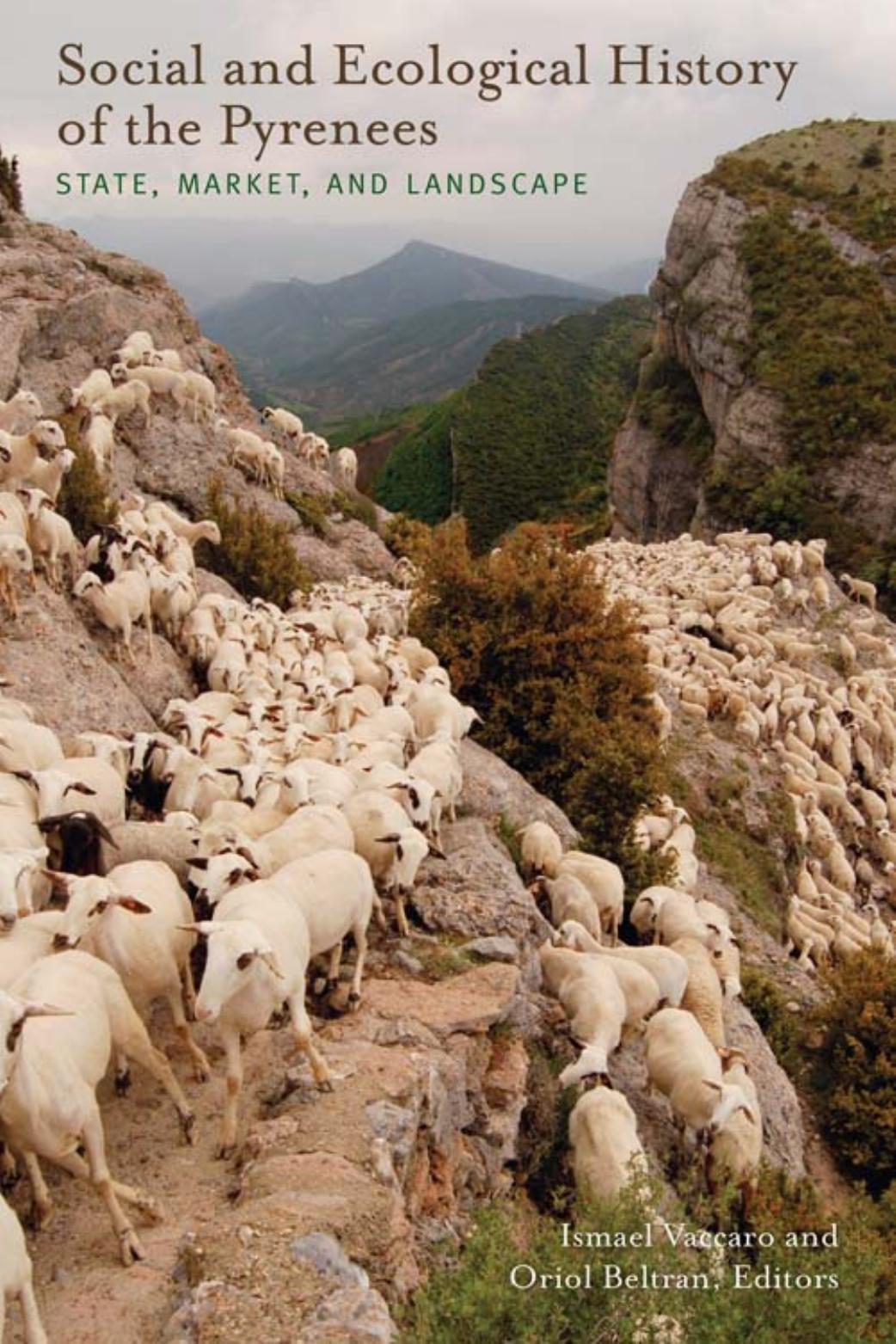 Social and Ecological History of the Pyrenees: State, Market, and Landscape by Unknow