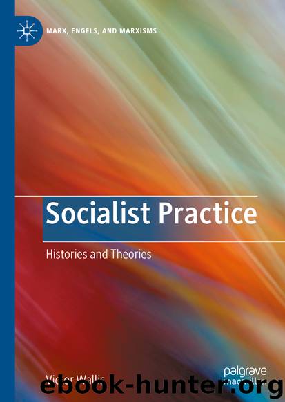 Socialist Practice by Victor Wallis