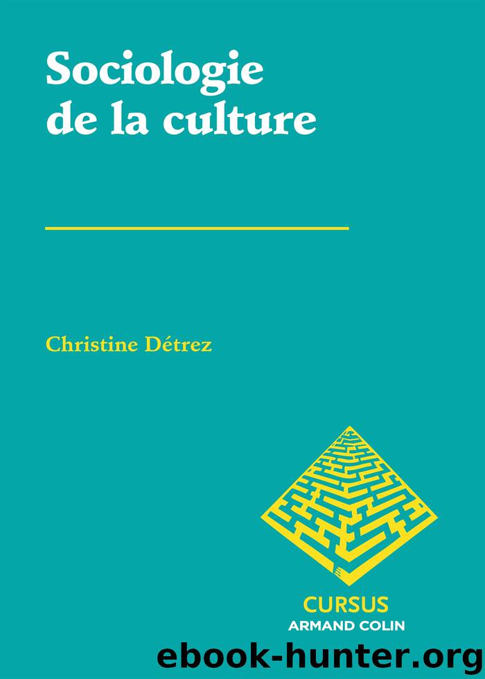 Sociologie de la culture by Christine Détrez
