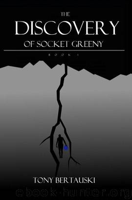 Socket 1 - The Discovery of Socket Greeny by Bertauski Tony