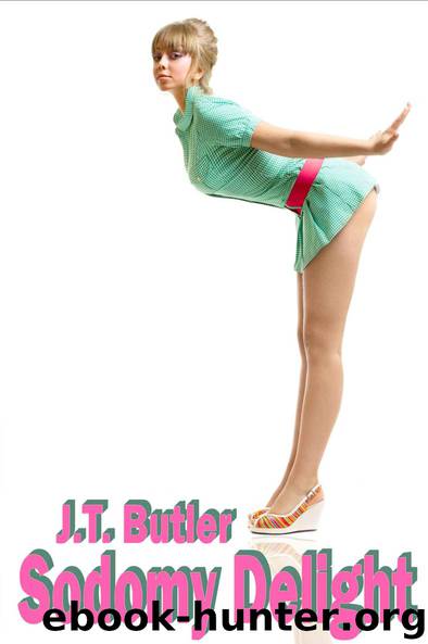 Sodomy Delight - Back Door Erotica, Seduction by J.T. Butler
